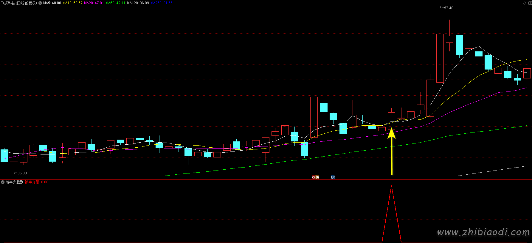 策牛奔腾指标 策牛奔腾指标
