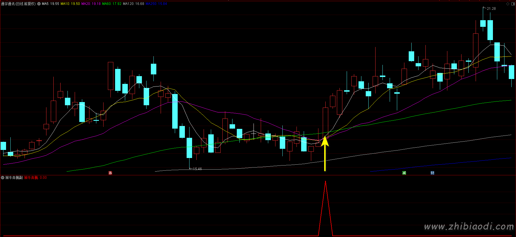 策牛奔腾指标 策牛奔腾指标