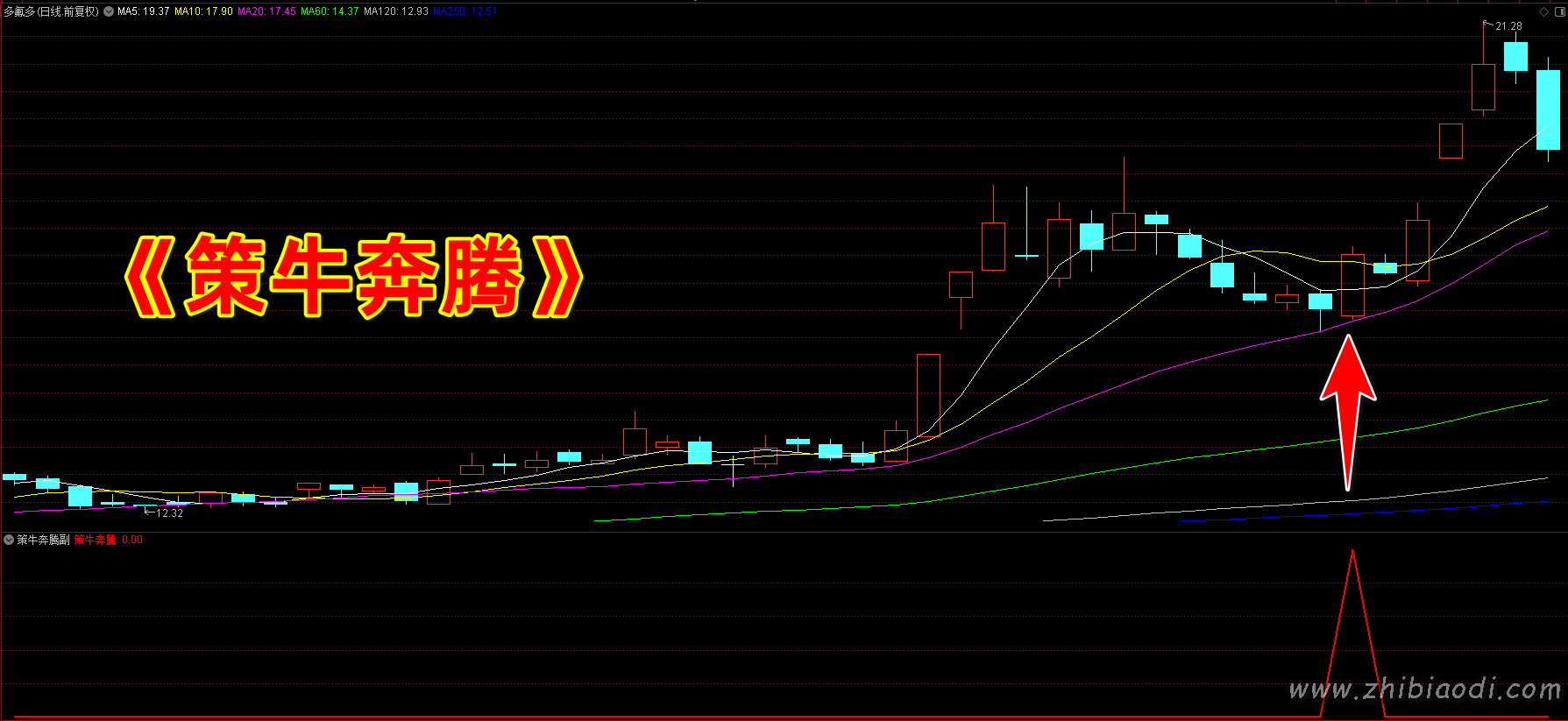 策牛奔腾指标 策牛奔腾指标