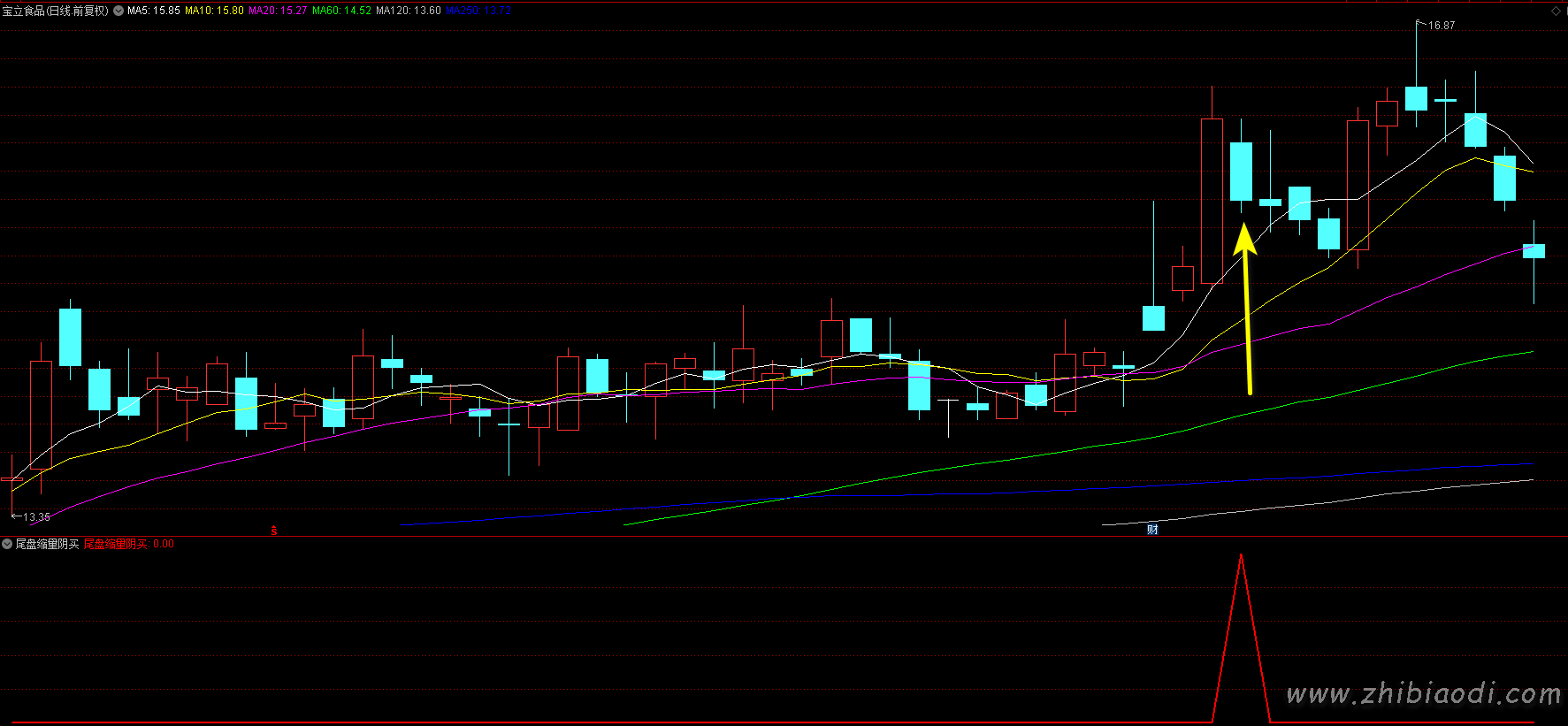 尾盘缩量阴买指标 尾盘缩量阴买指标