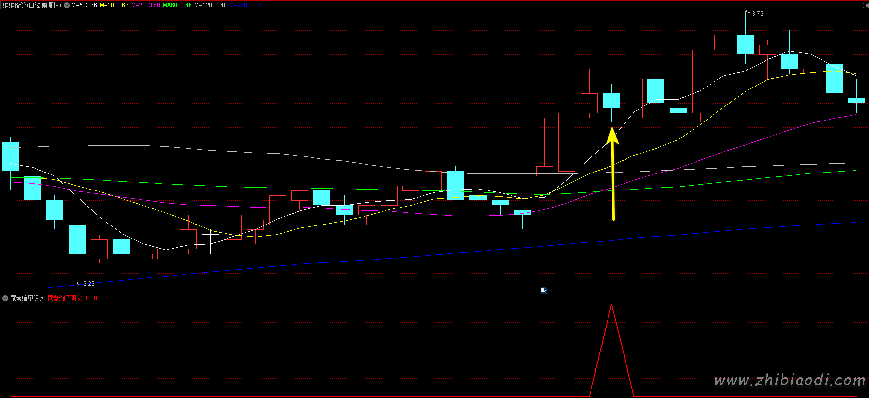 尾盘缩量阴买指标 尾盘缩量阴买指标