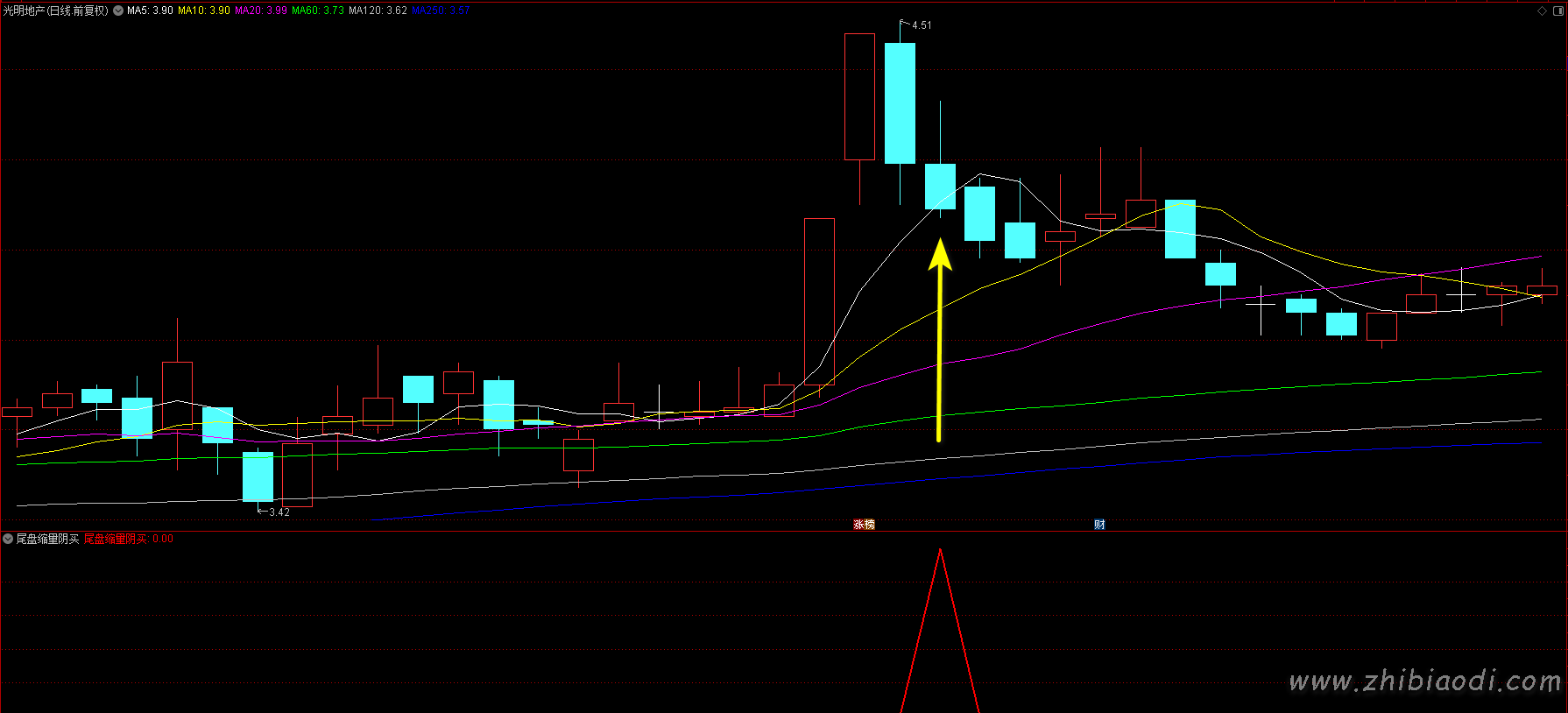 尾盘缩量阴买指标 尾盘缩量阴买指标