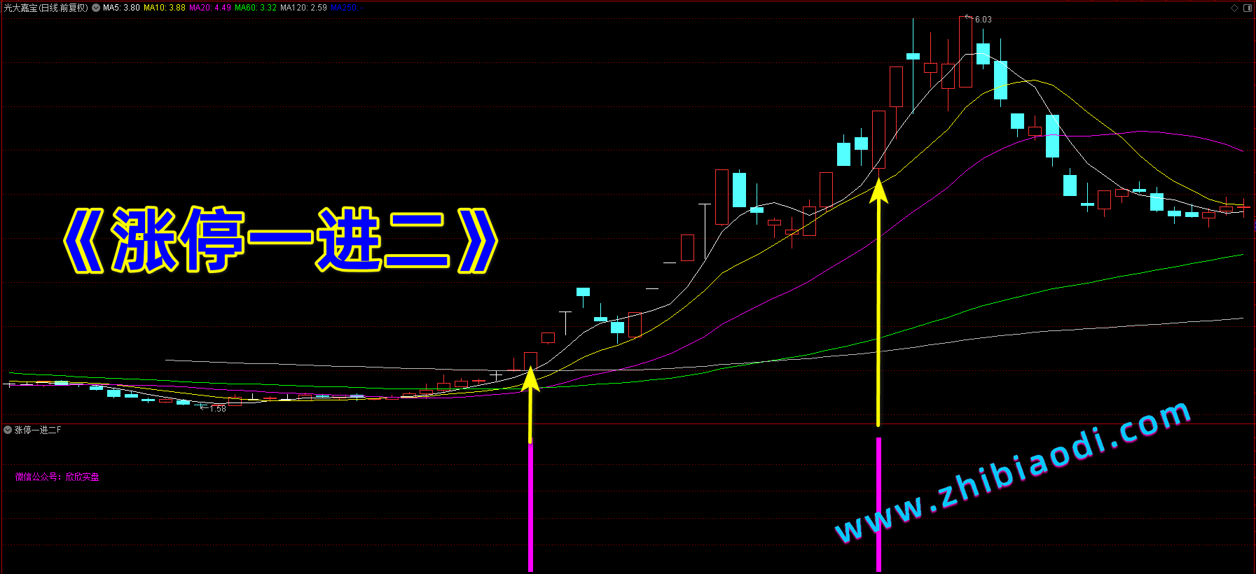 涨停一进二指标 涨停一进二指标