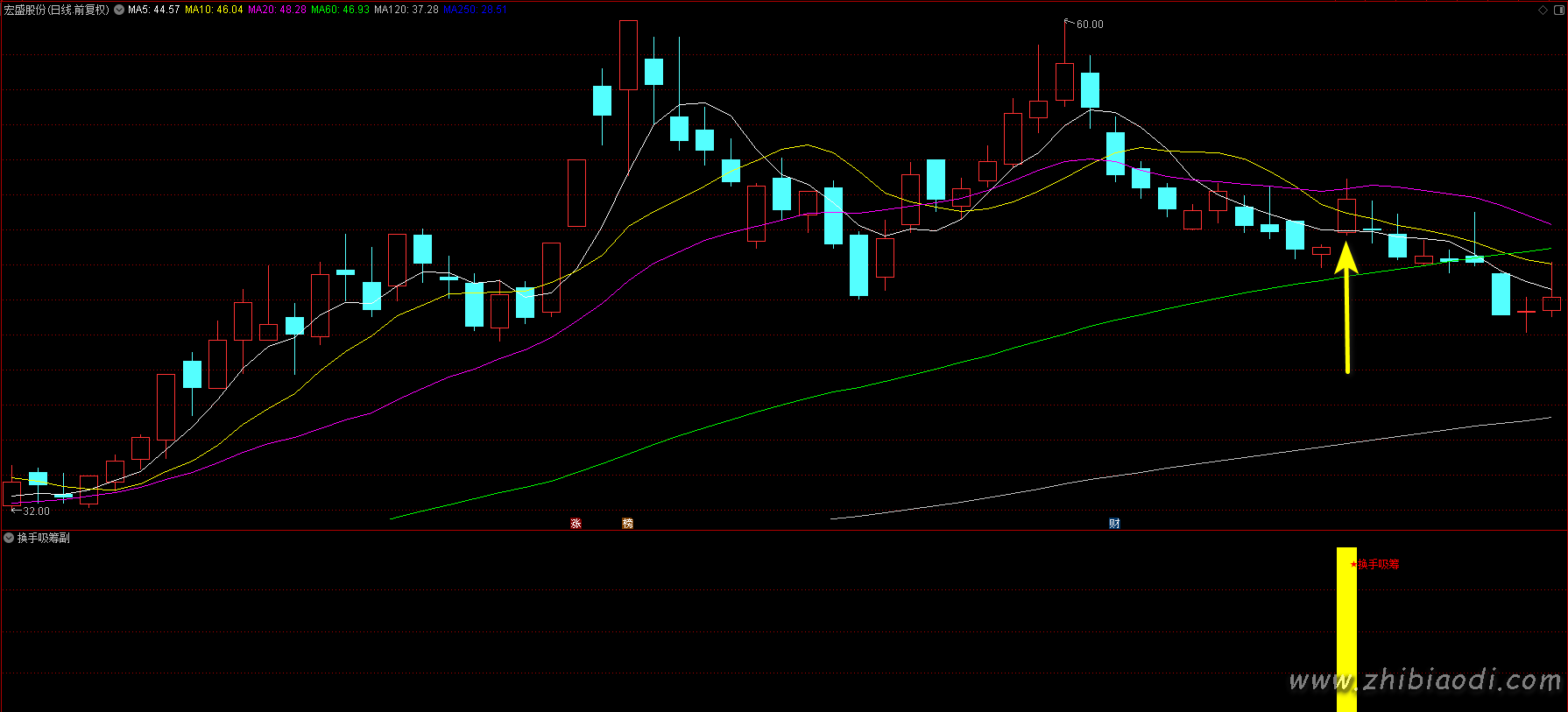 换手吸筹指标