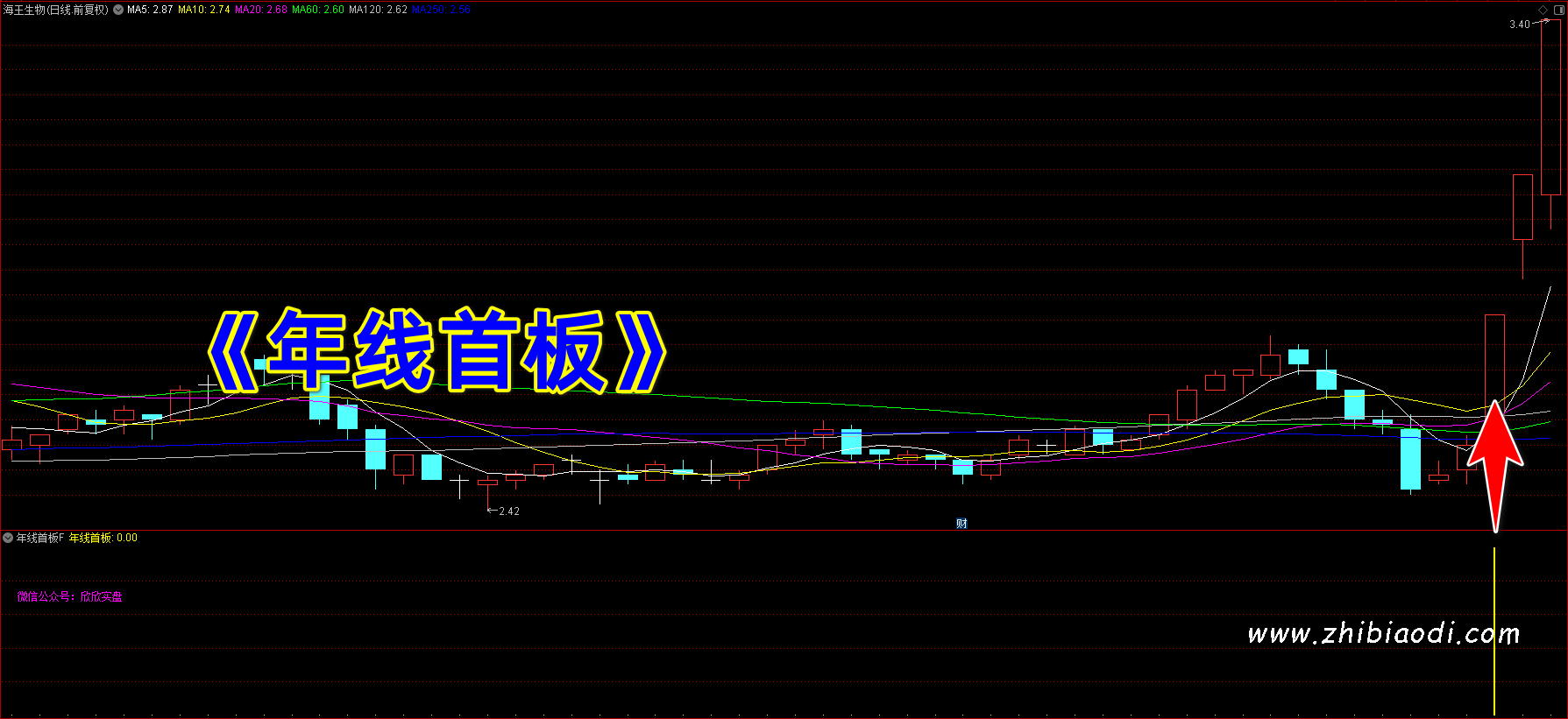 年线首板指标 年线首板指标