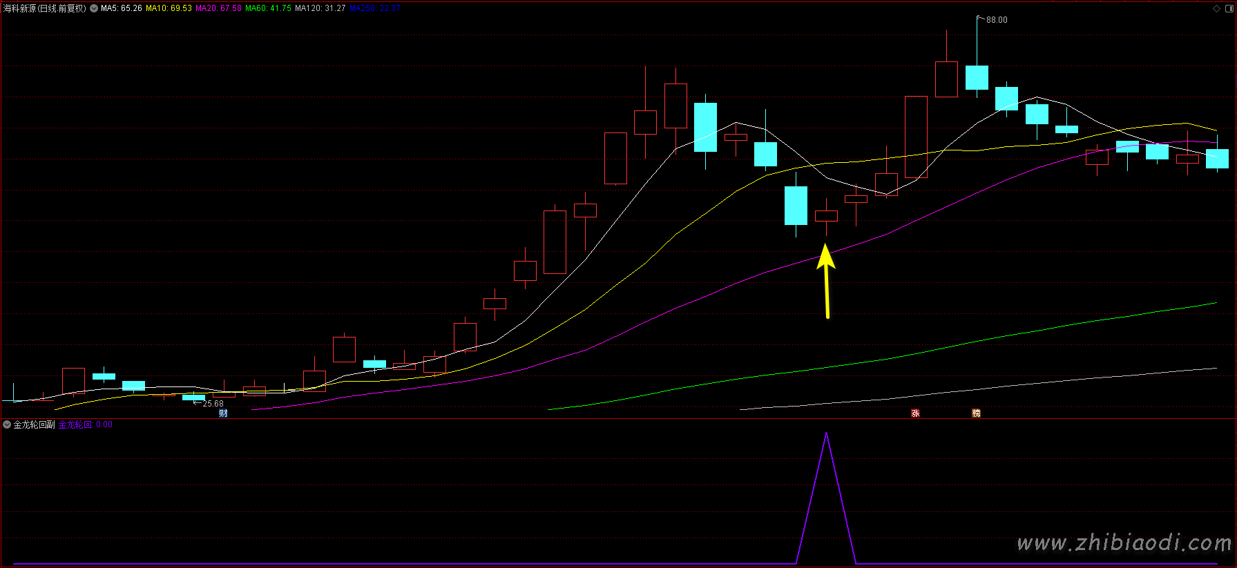 2026金龙轮回指标