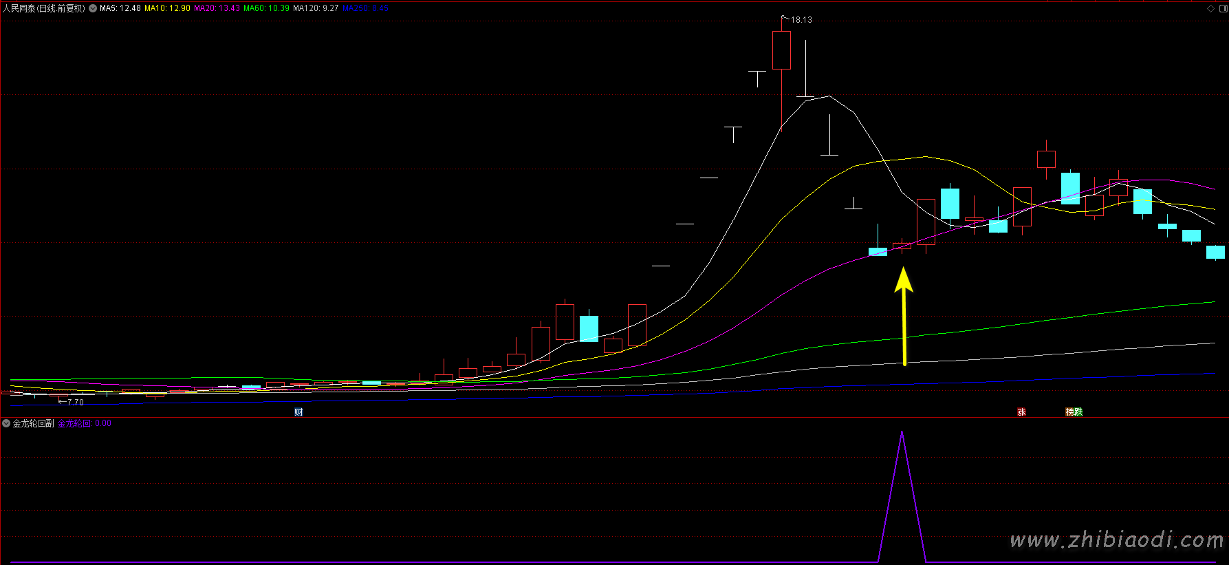 2026金龙轮回指标