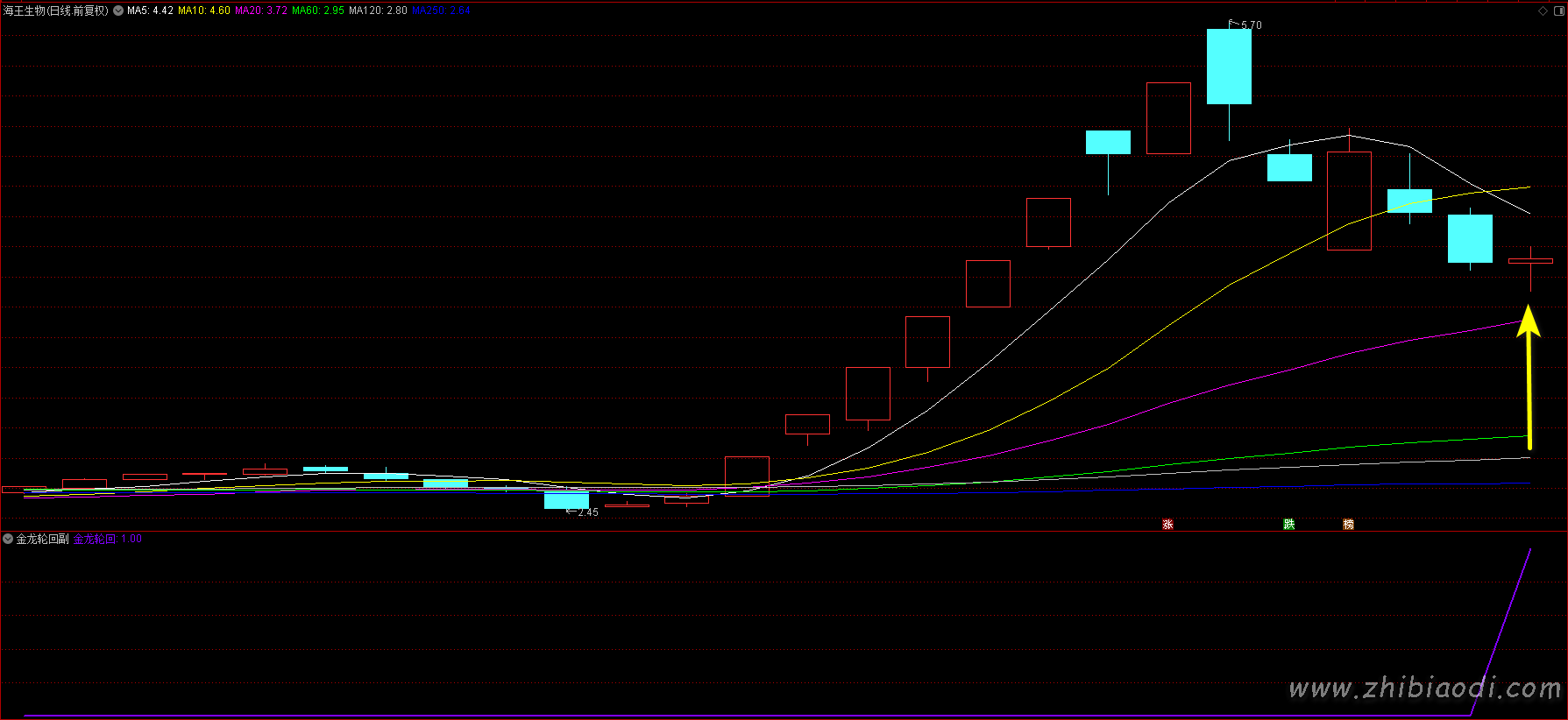 2026金龙轮回指标