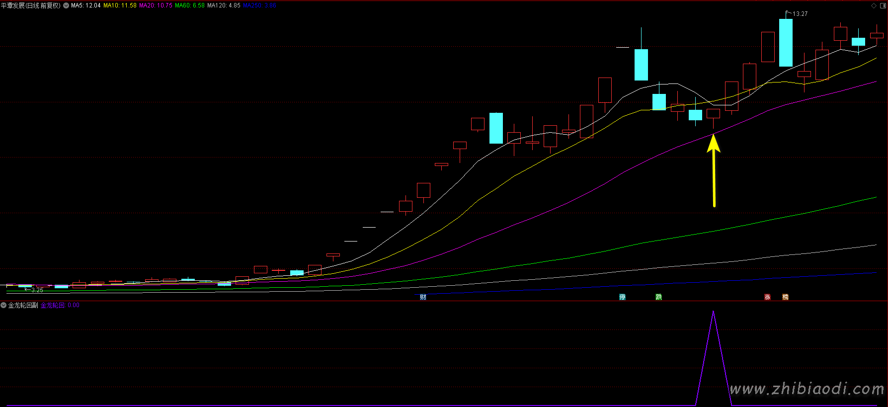 2026金龙轮回指标