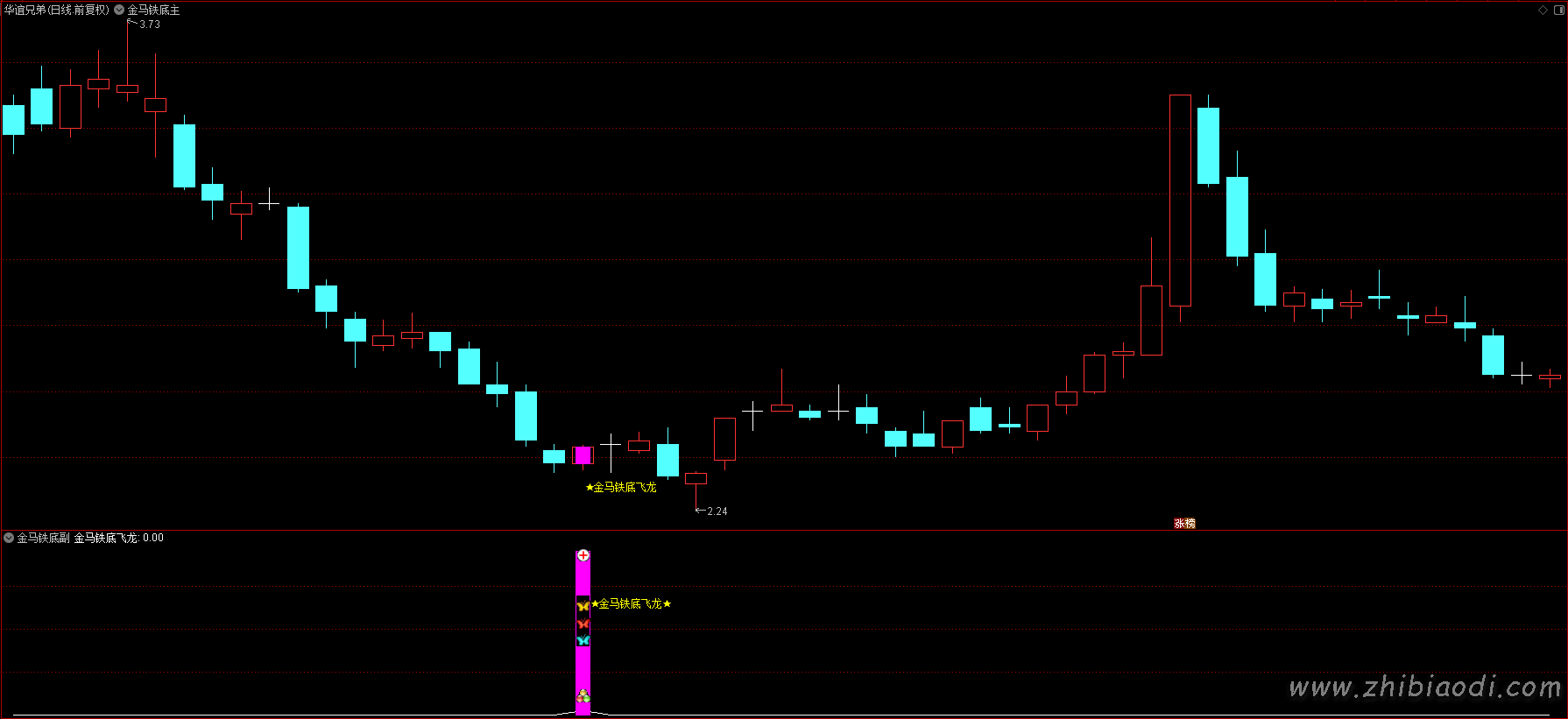 金马铁底飞龙指标