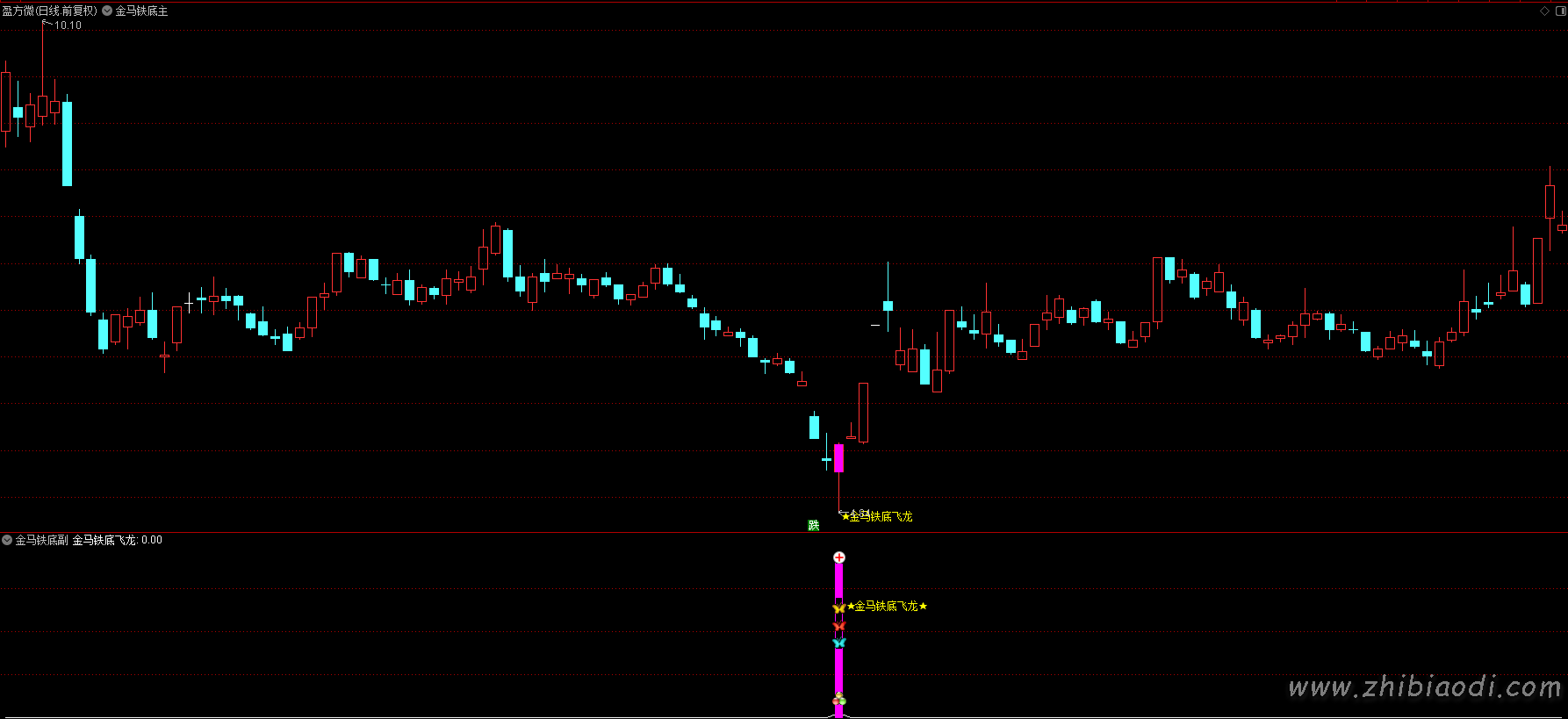 金马铁底飞龙指标