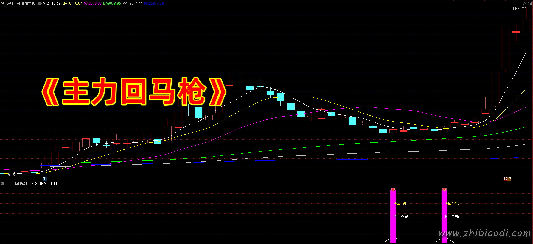 主力回马枪指标