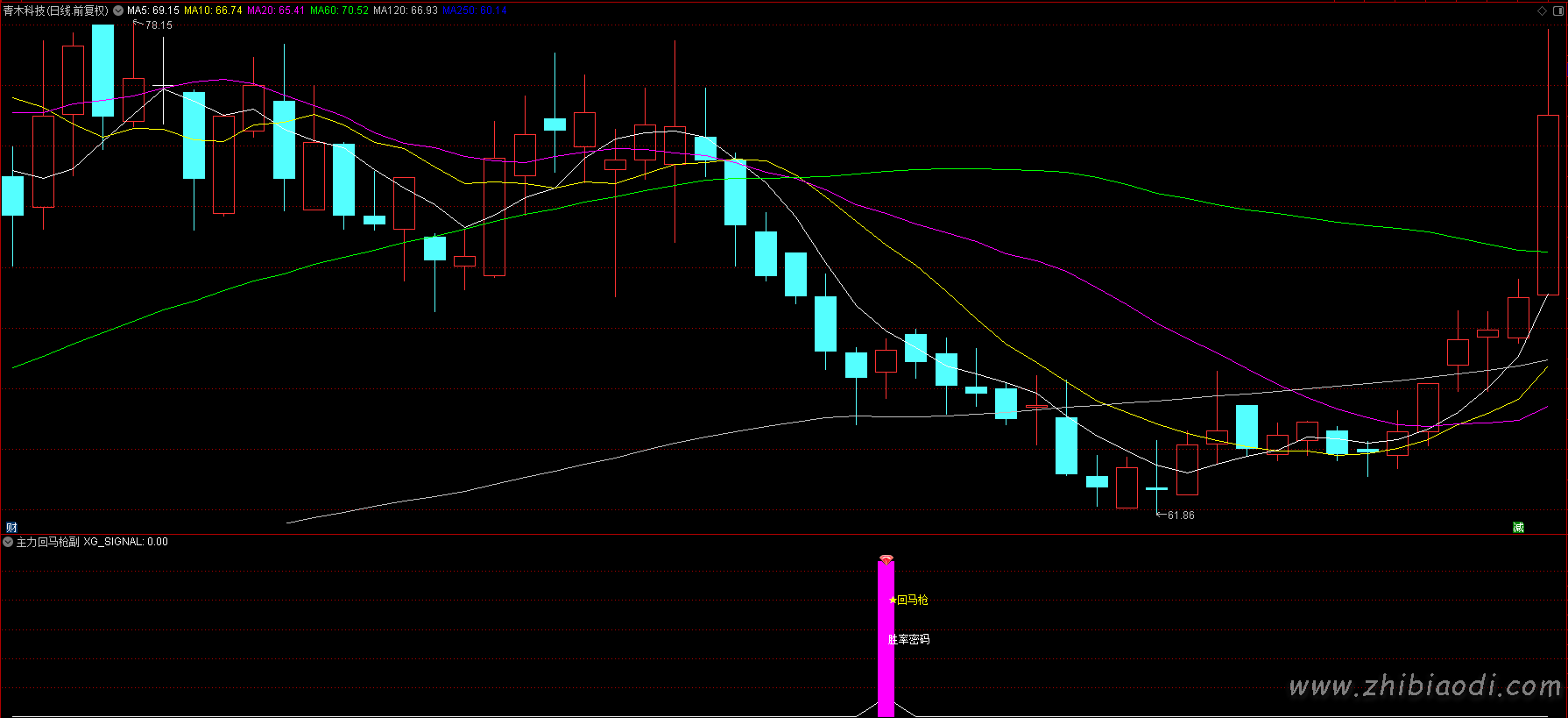 主力回马枪指标