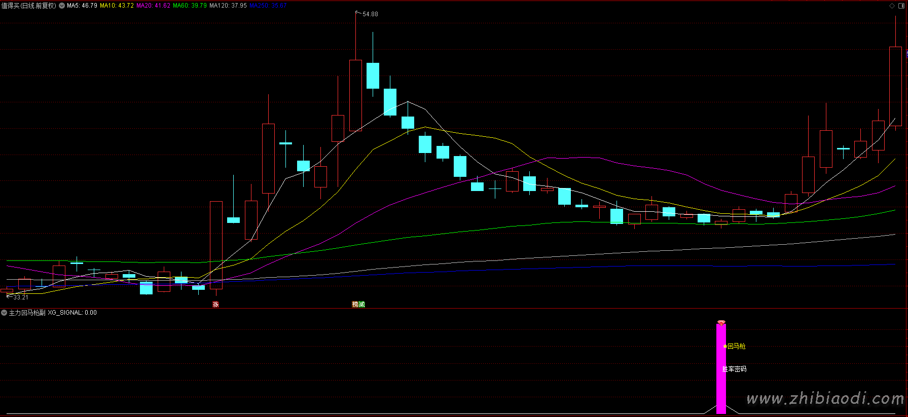 主力回马枪指标