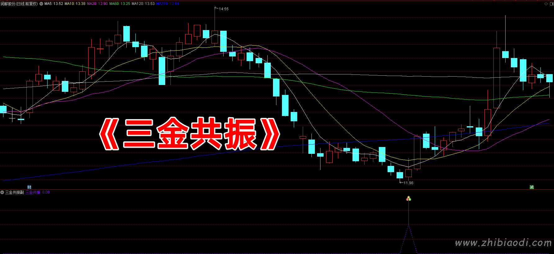 三金共振指标 三金共振指标