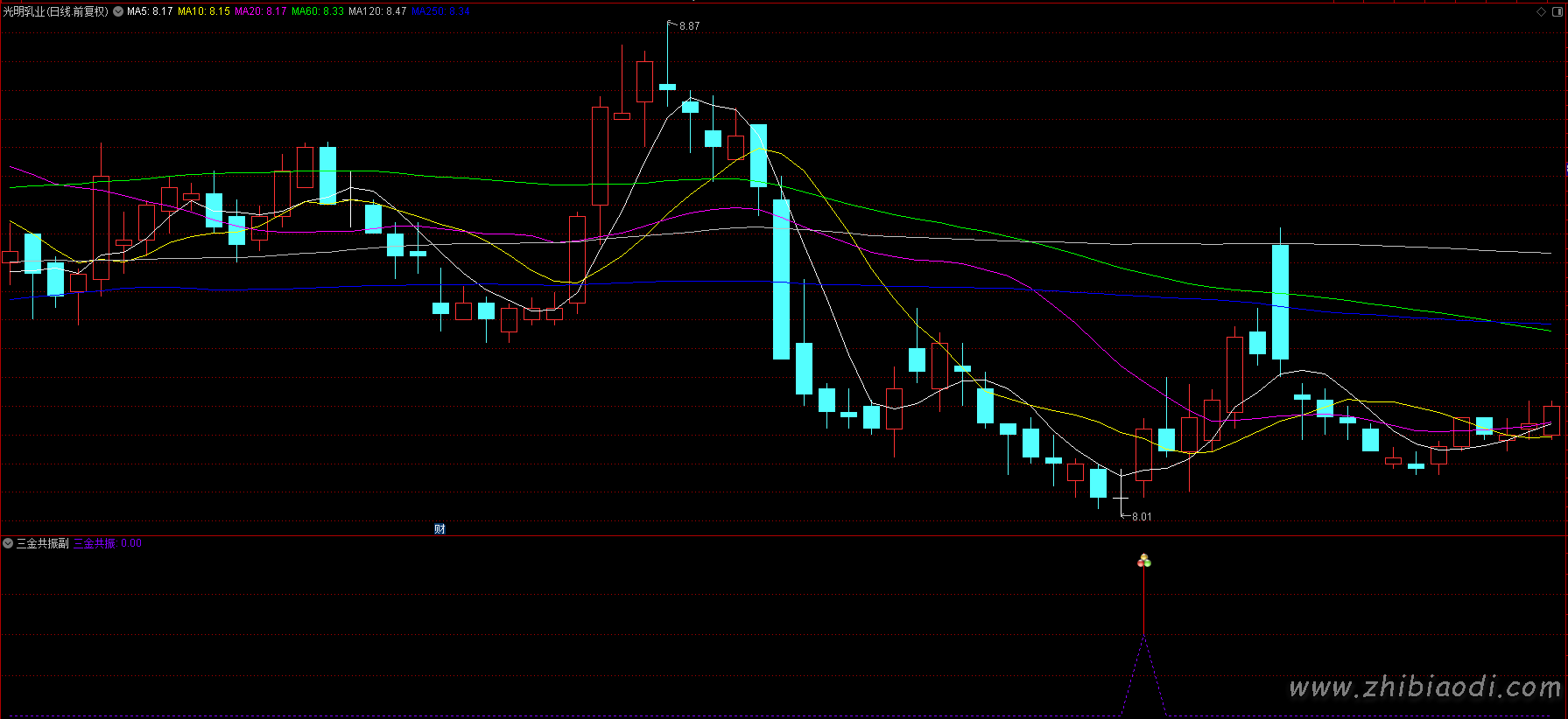 三金共振指标 三金共振指标