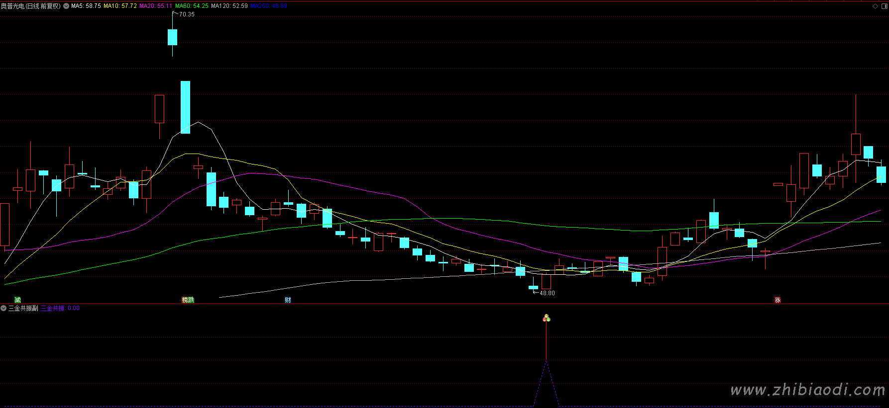 三金共振指标 三金共振指标
