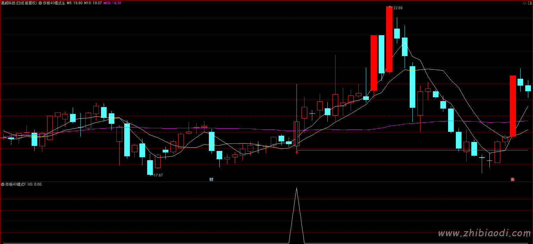 炸板40主升浪指标