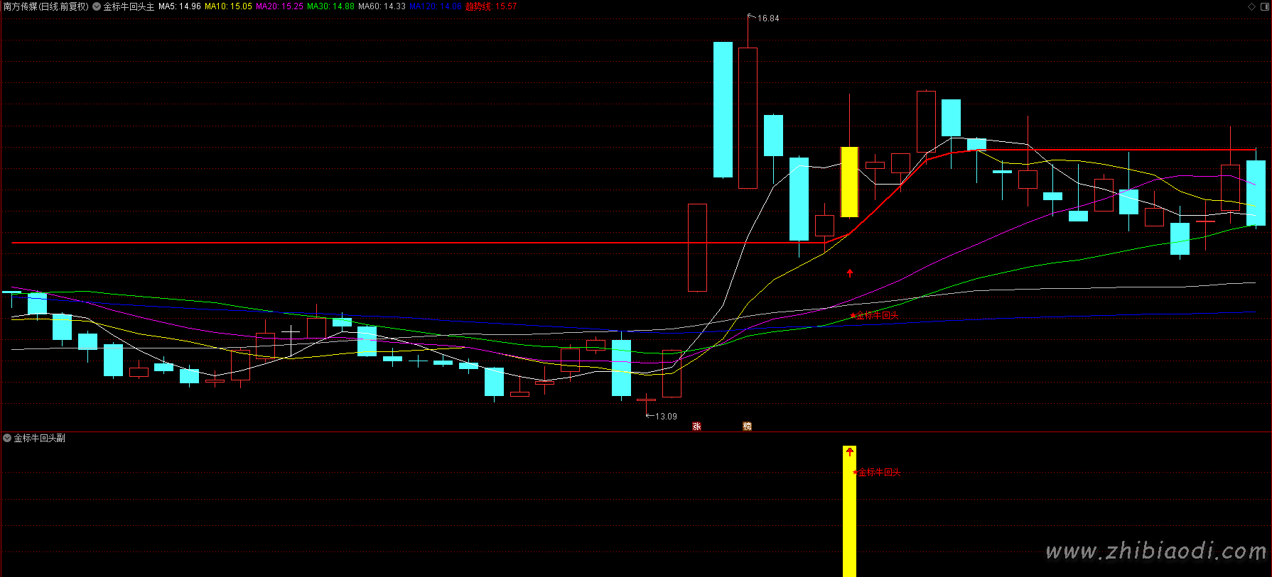 金标牛回头指标