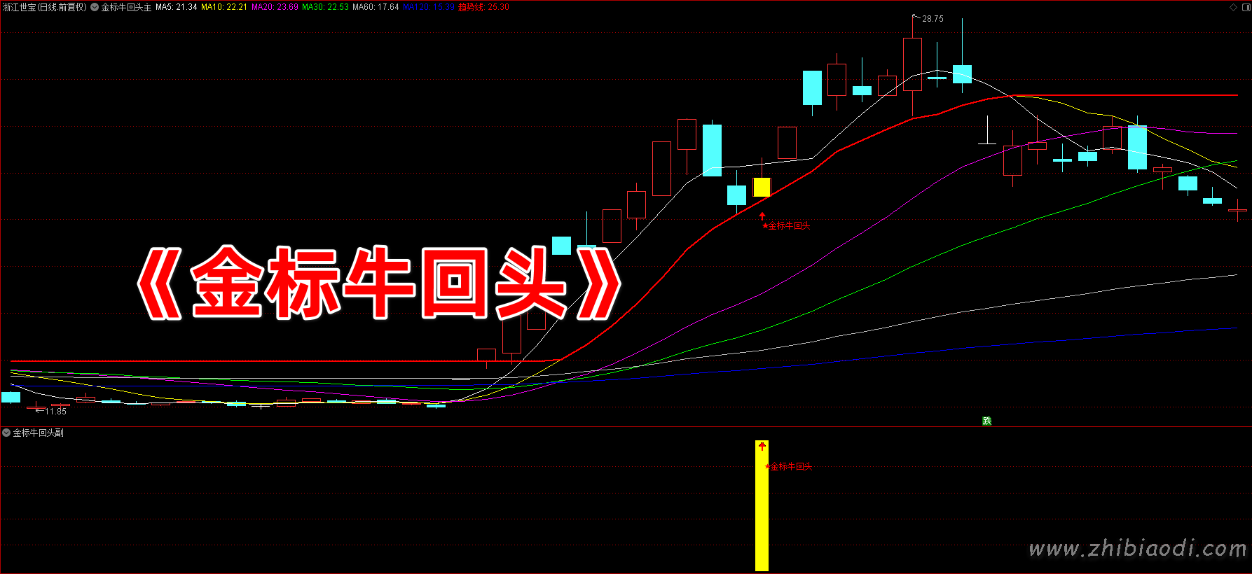 金标牛回头指标