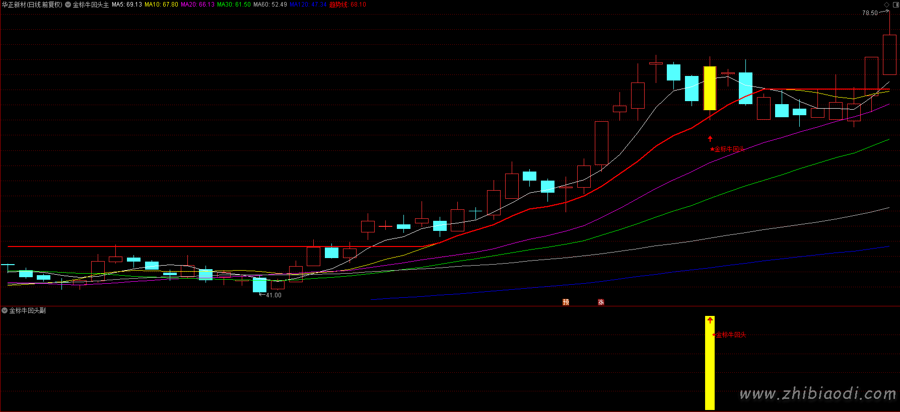 金标牛回头指标