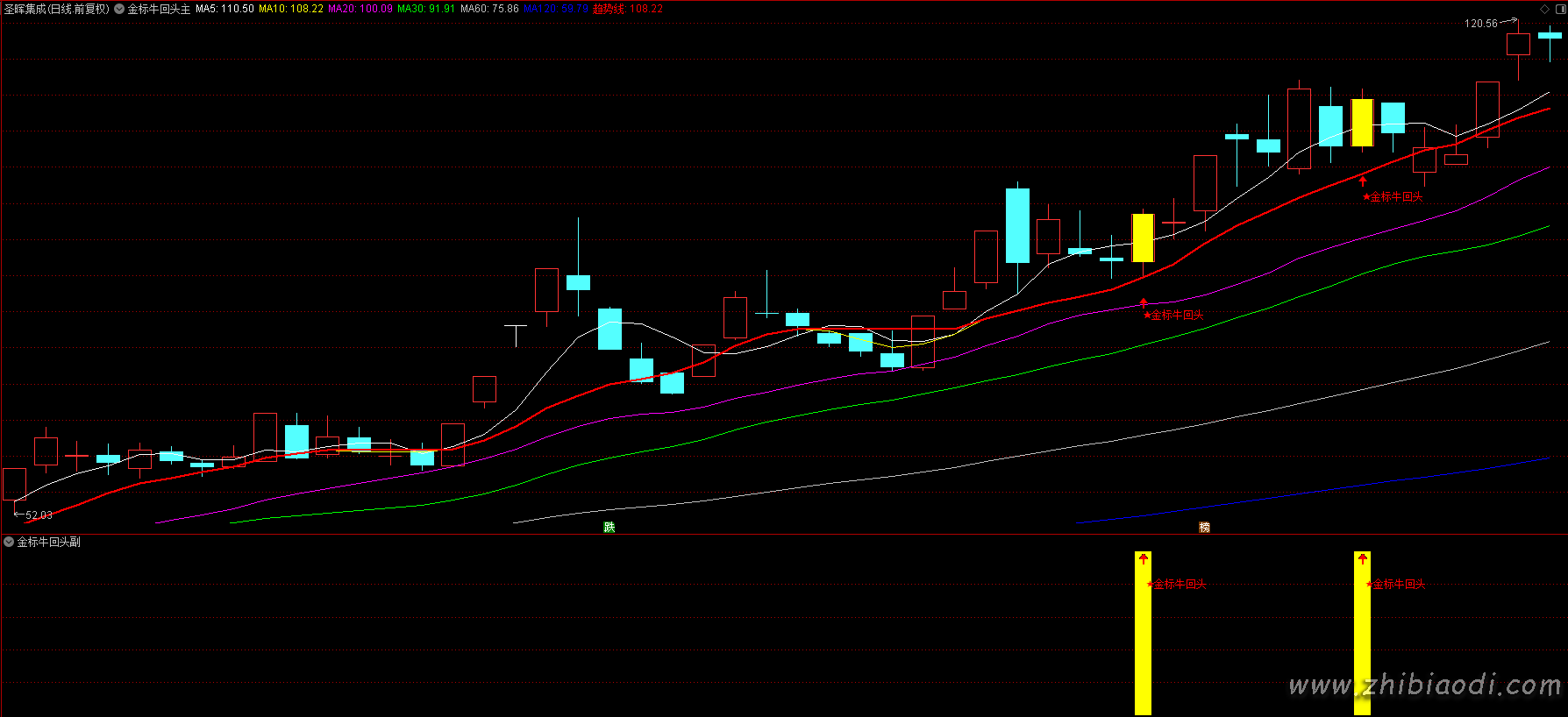 金标牛回头指标