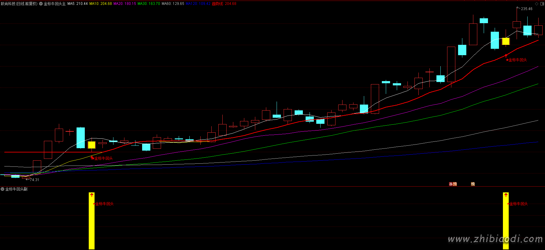 金标牛回头指标