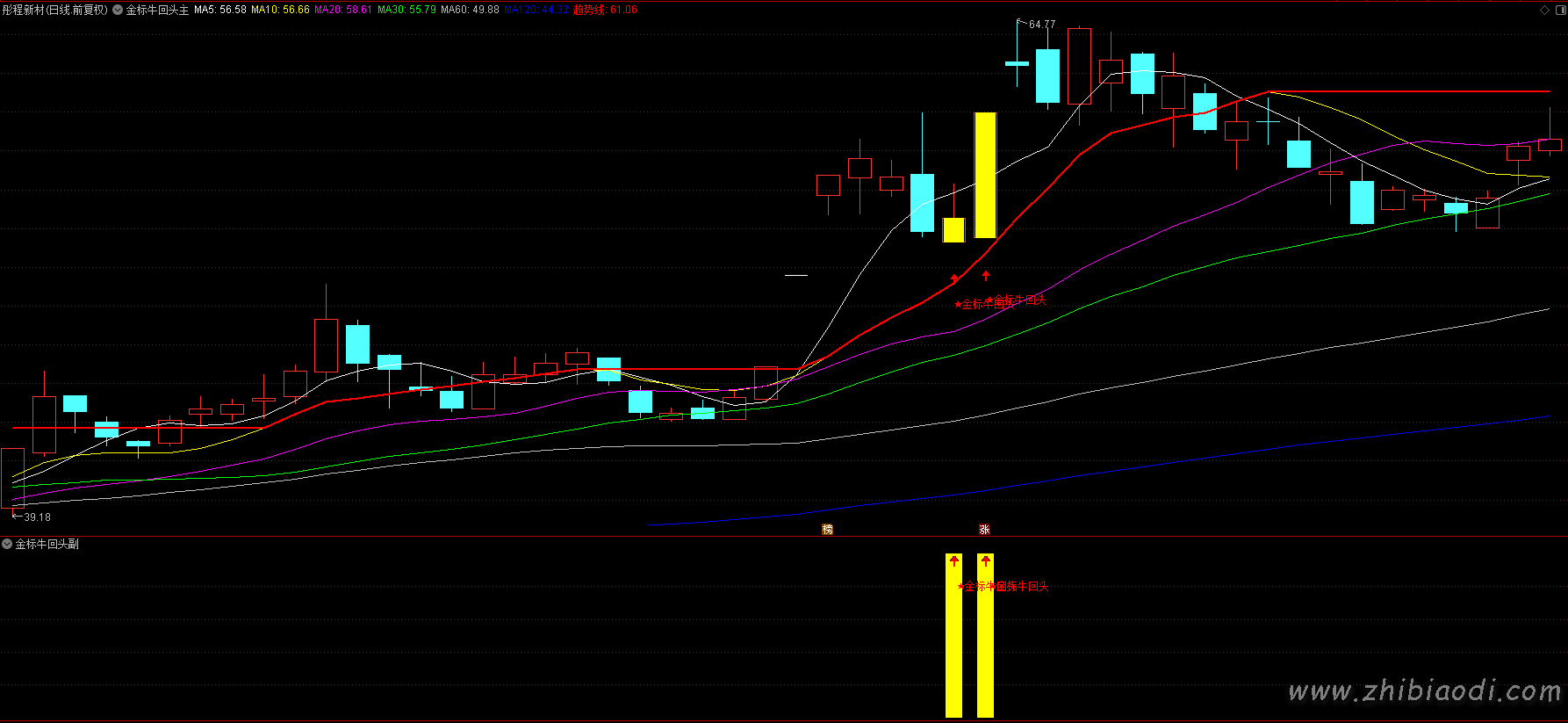 金标牛回头指标