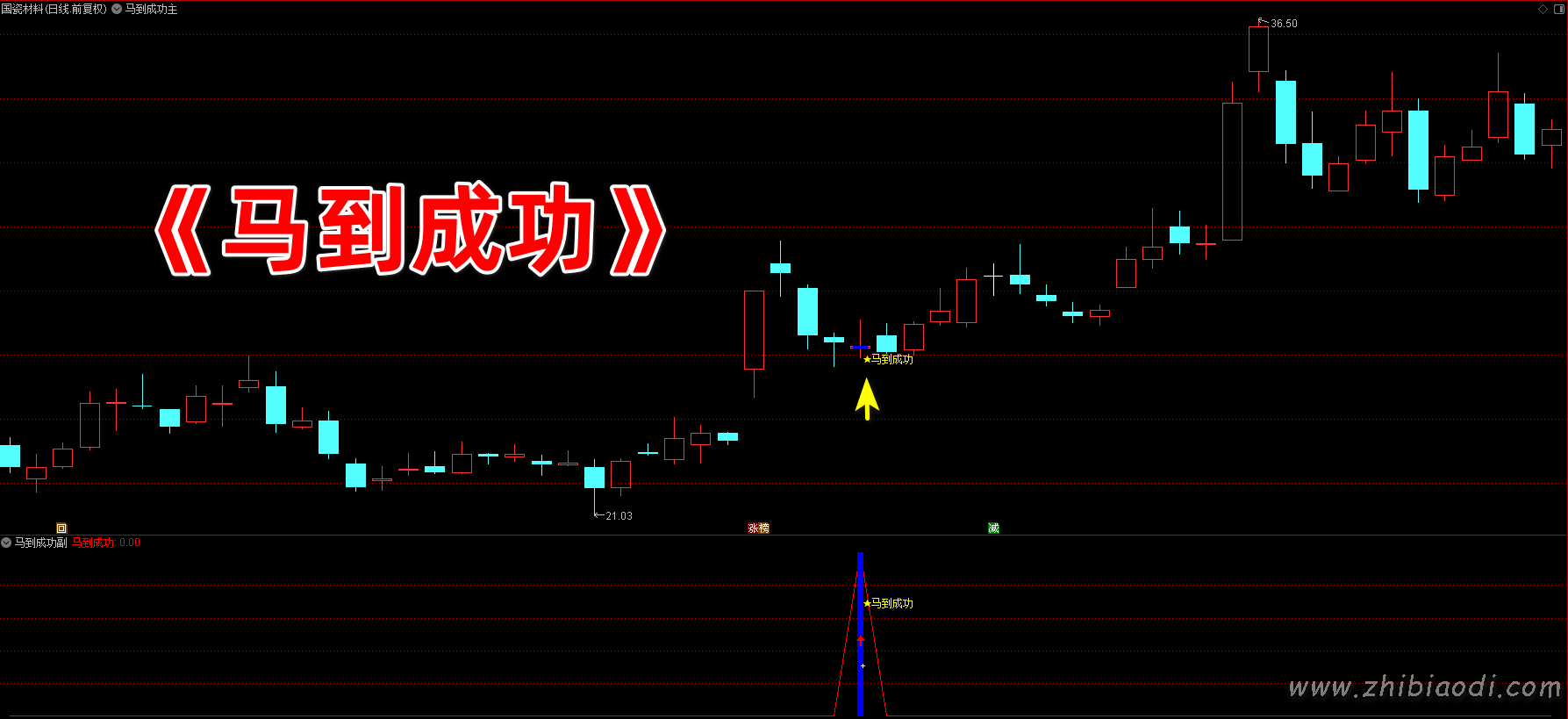 马到成功指标