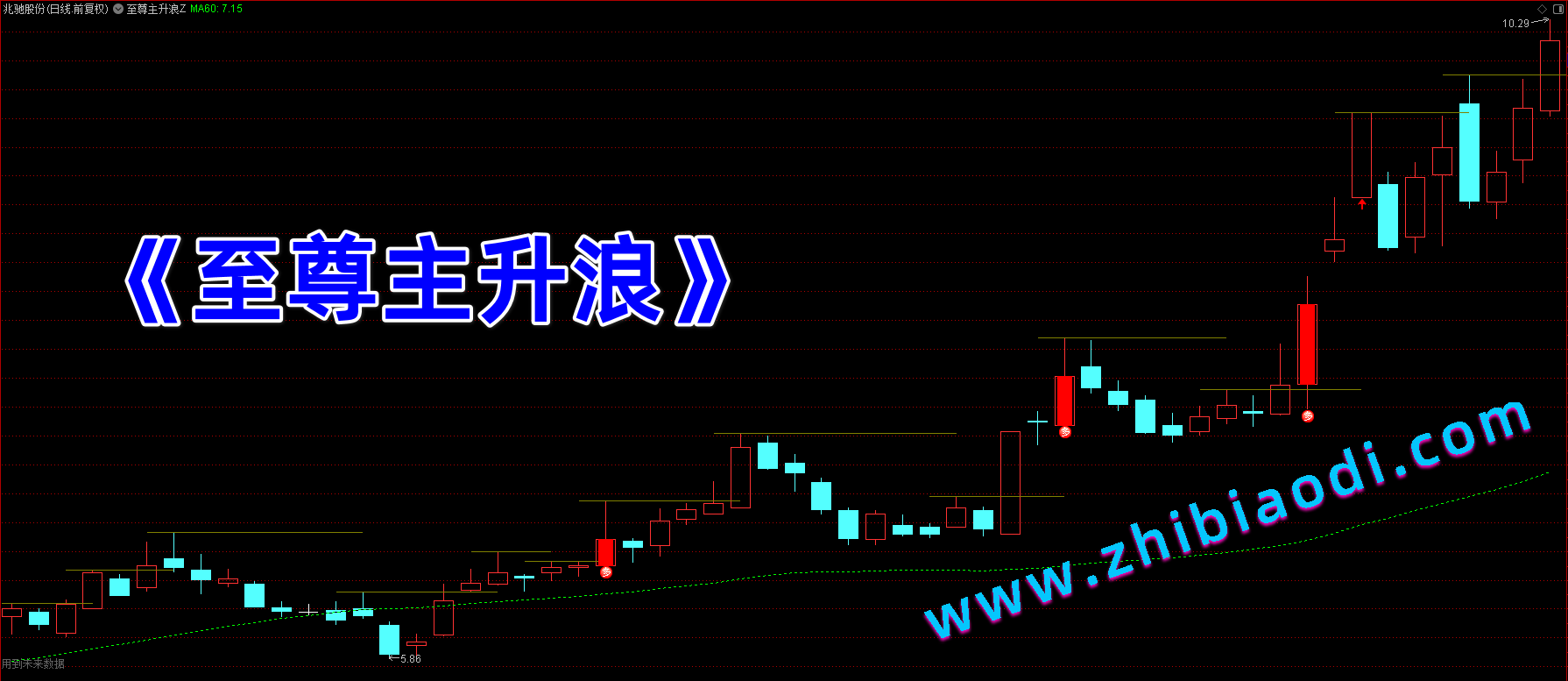 至尊主升浪指标