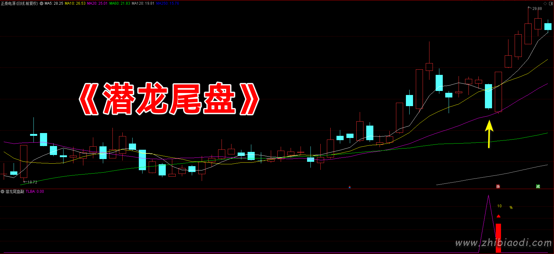 潜龙尾盘指标