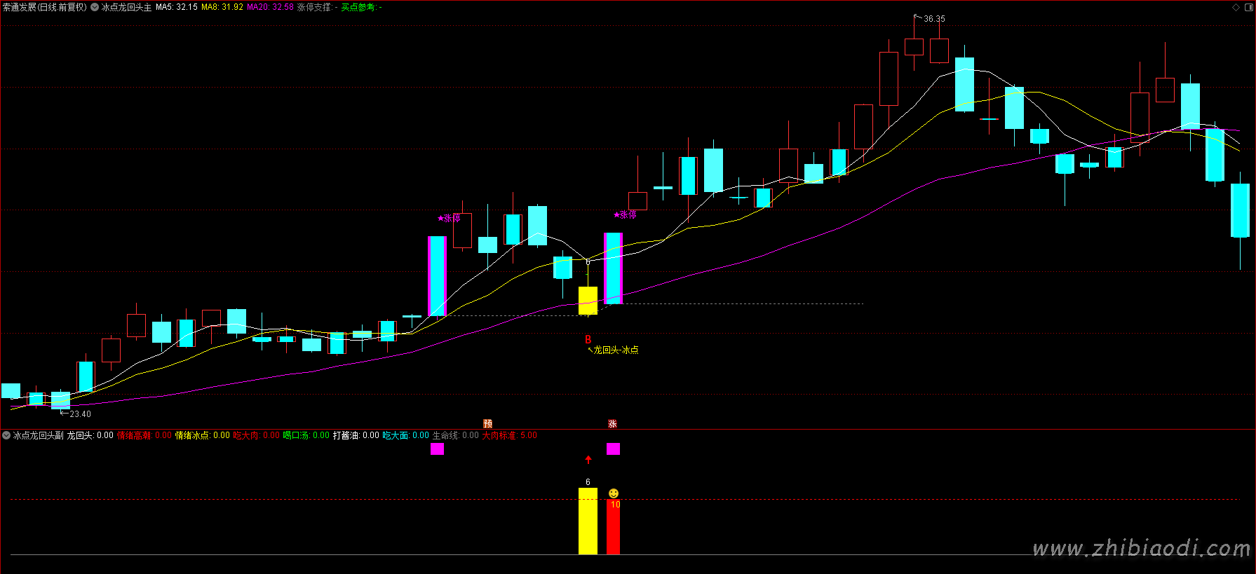 2026冰点龙回头指标 2026冰点龙回头指标