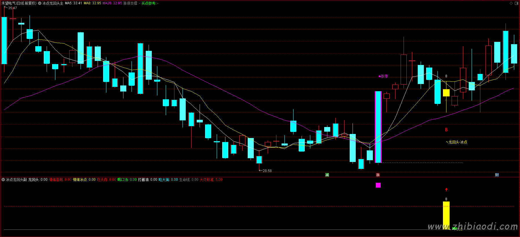 2026冰点龙回头指标 2026冰点龙回头指标