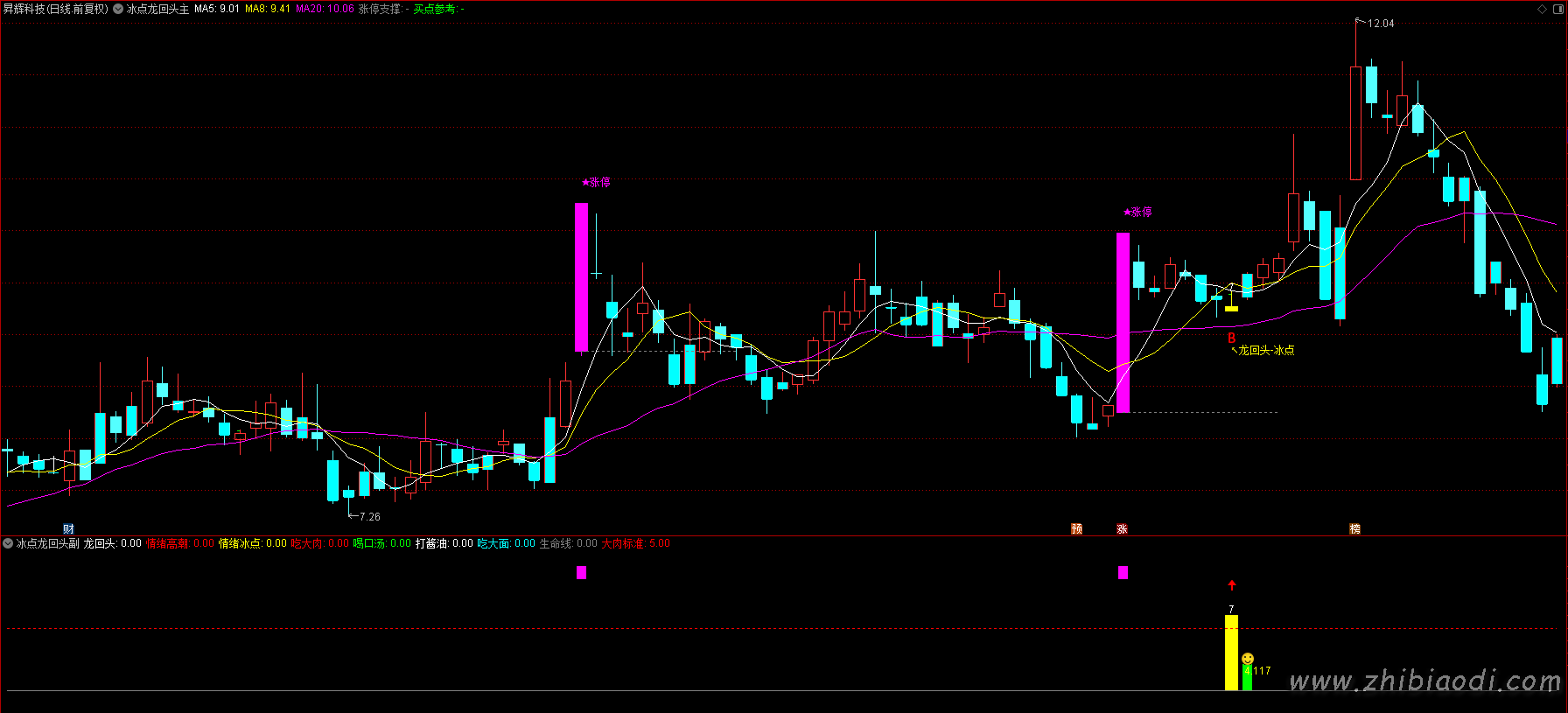 2026冰点龙回头指标 2026冰点龙回头指标