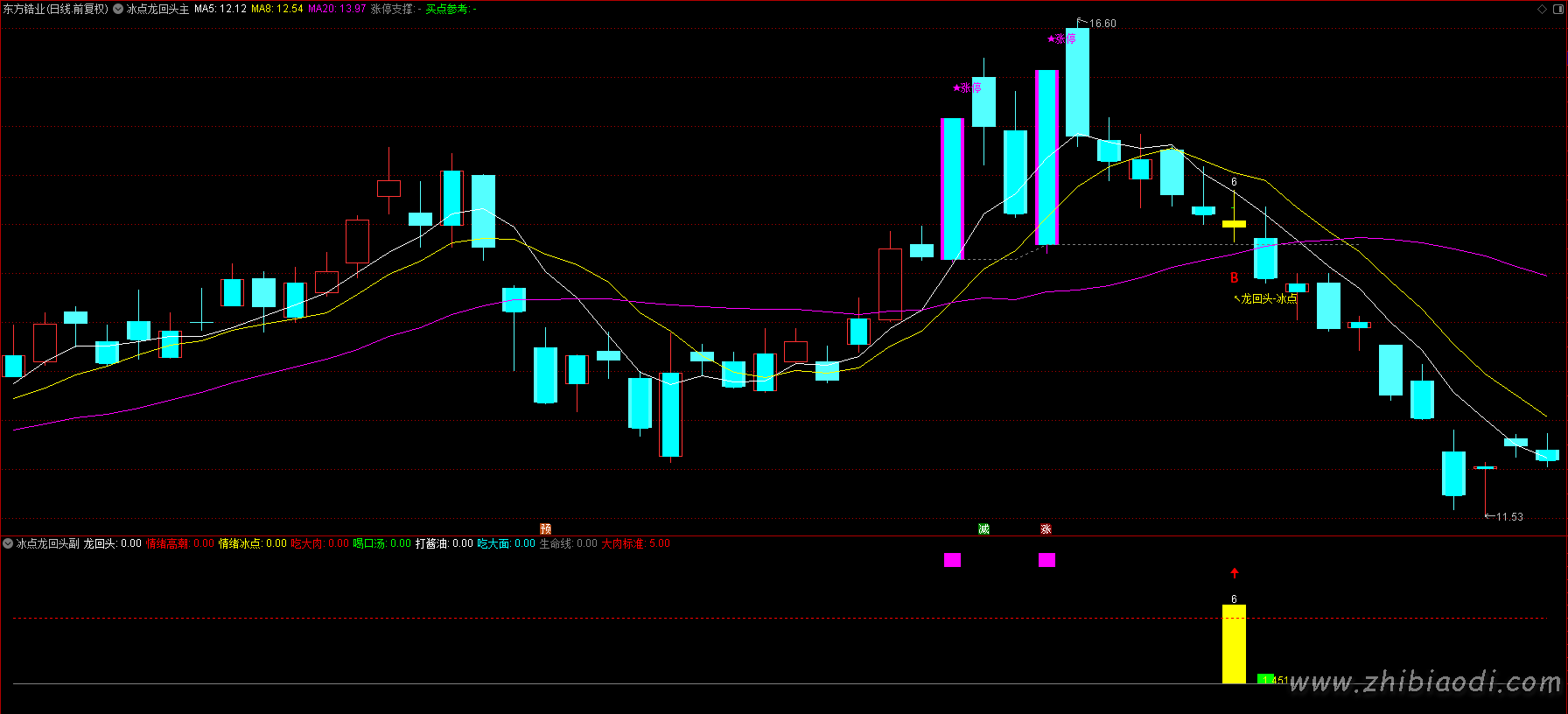 2026冰点龙回头指标 2026冰点龙回头指标