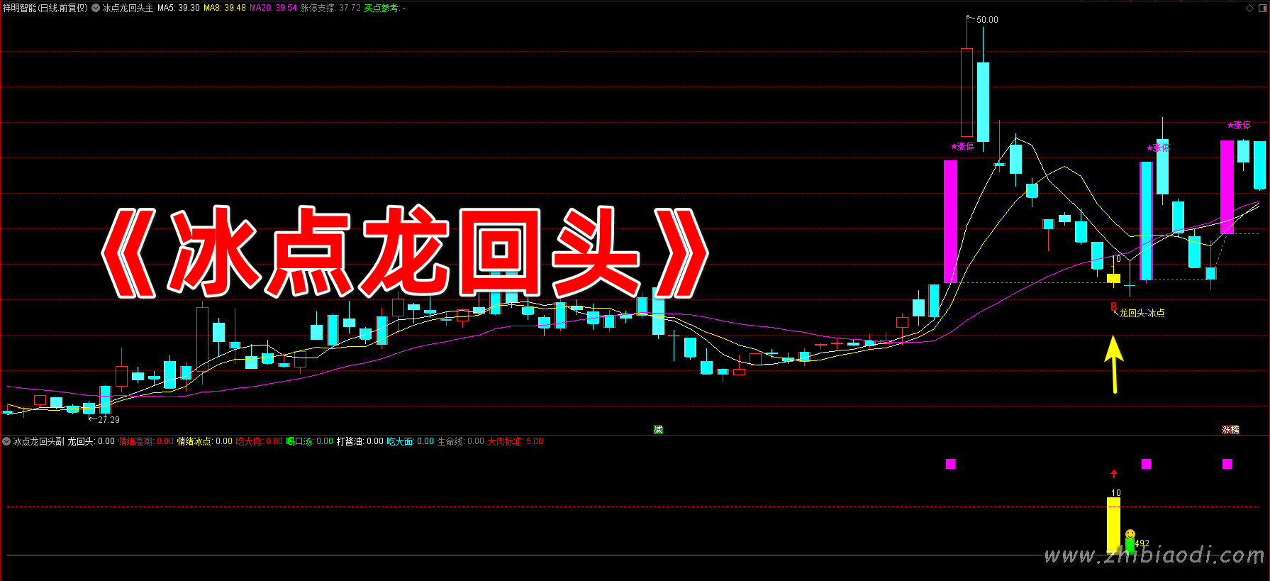 2026冰点龙回头指标 2026冰点龙回头指标