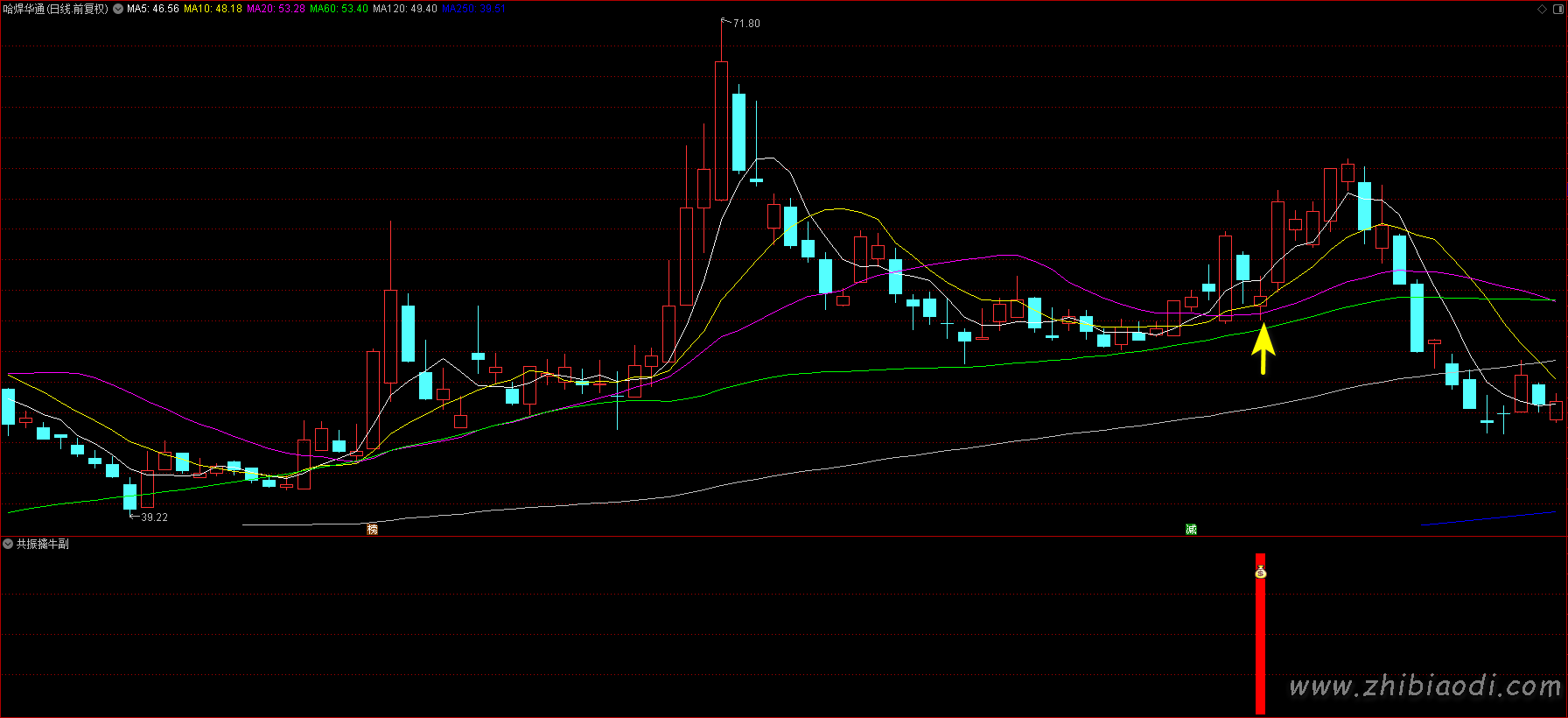共振擒牛指标 共振擒牛指标