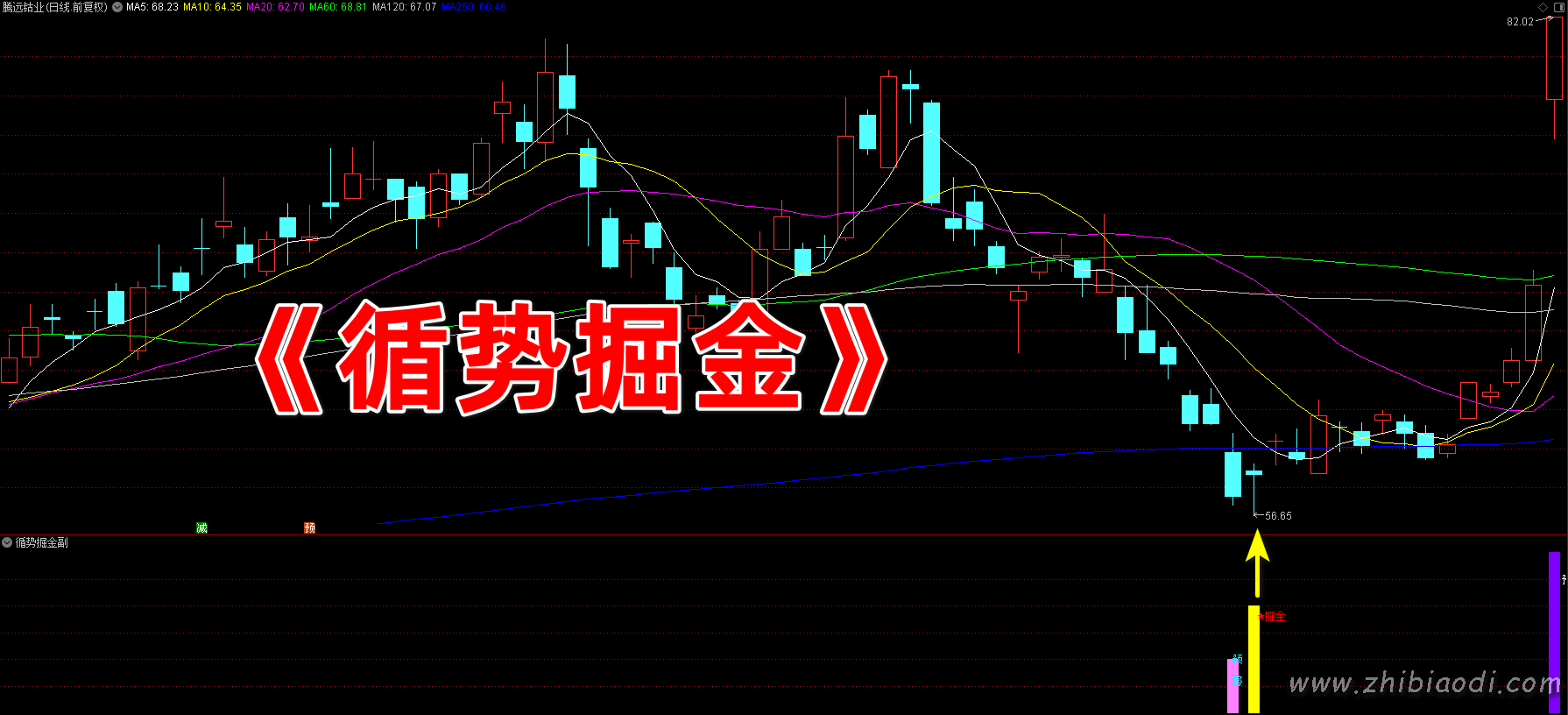 循势掘金指标 循势掘金指标