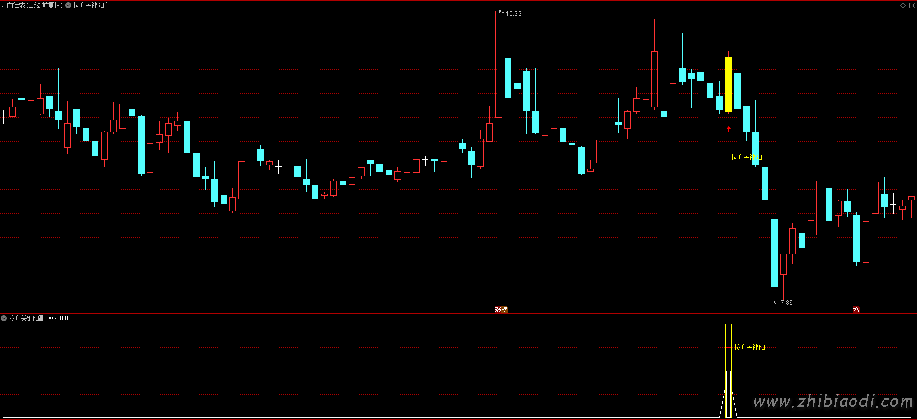 拉升关键阳指标