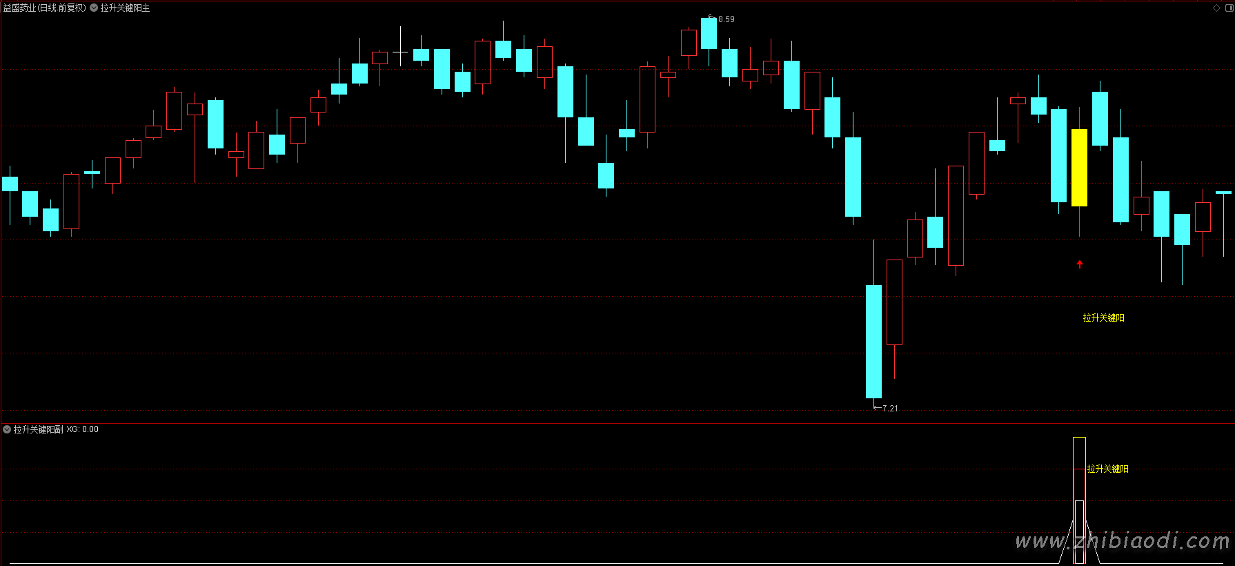 拉升关键阳指标