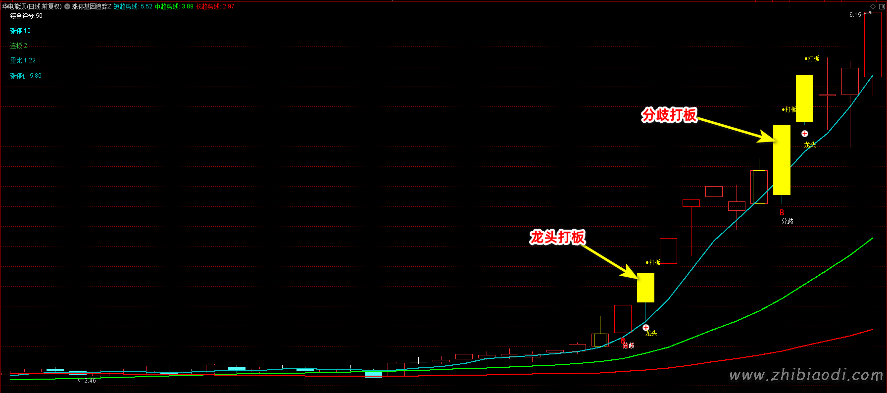 涨停基因追踪指标