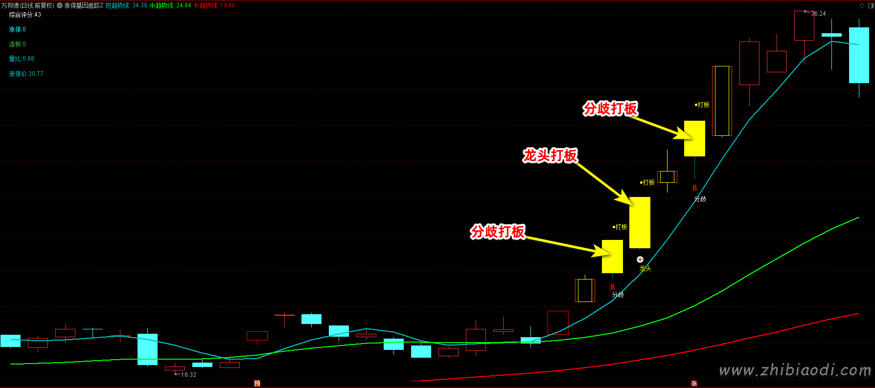 涨停基因追踪指标