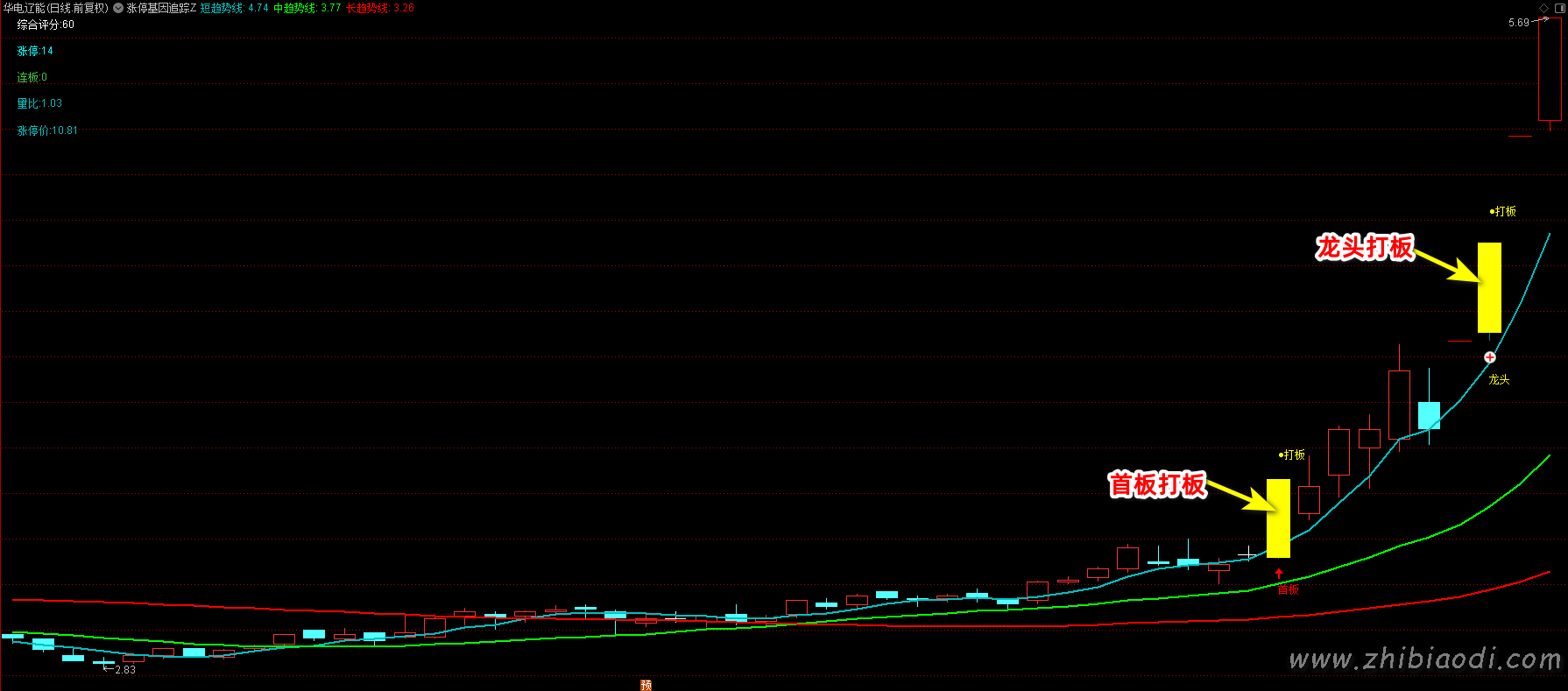 涨停基因追踪指标