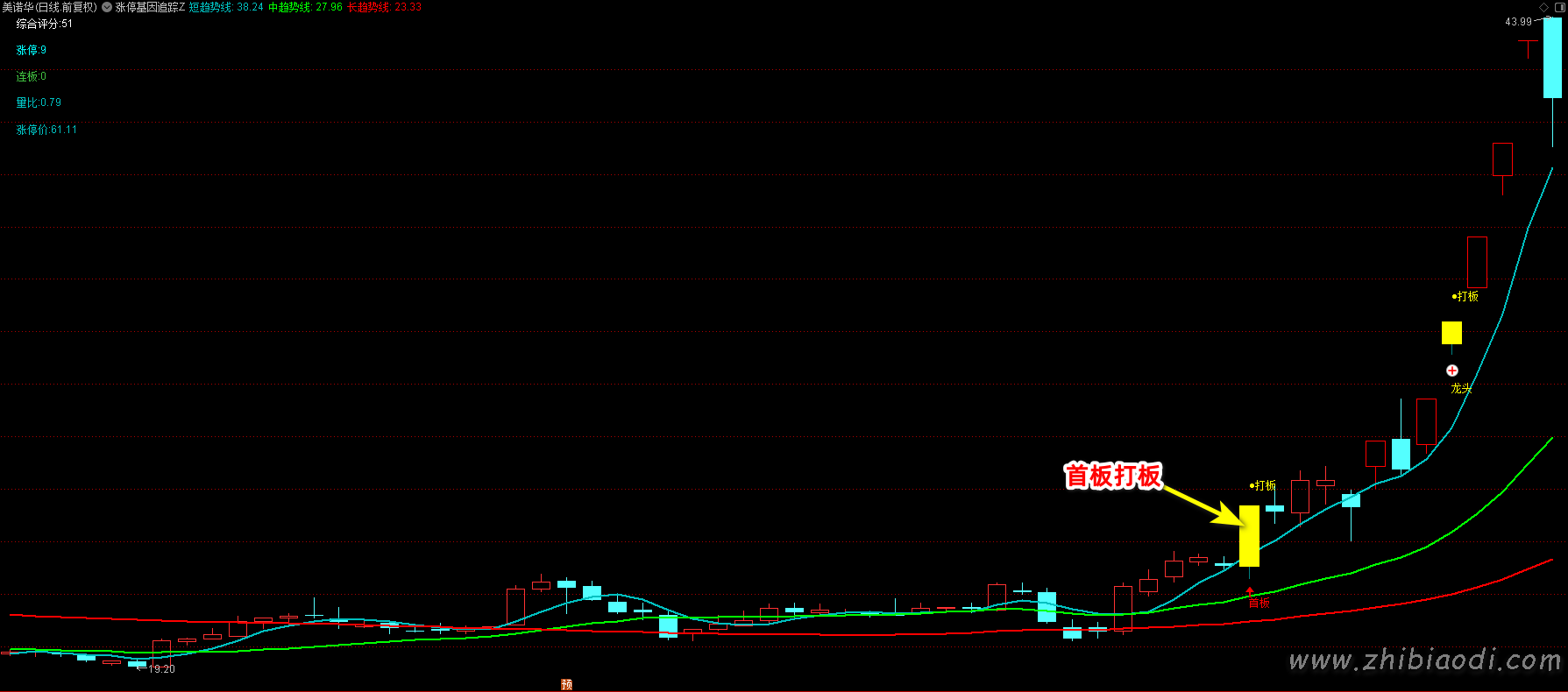 涨停基因追踪指标