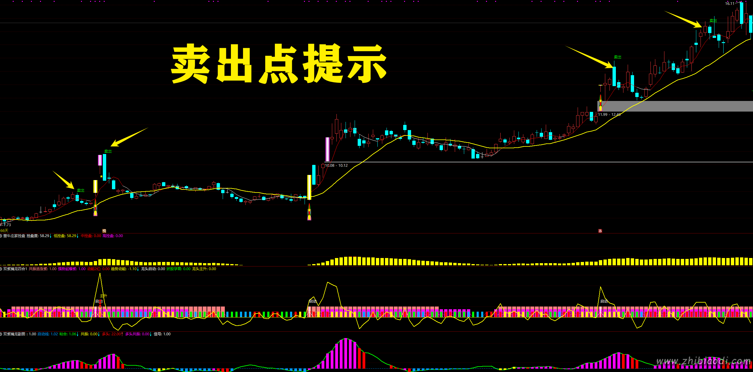 2026双紫擒龙指标 2026双紫擒龙指标