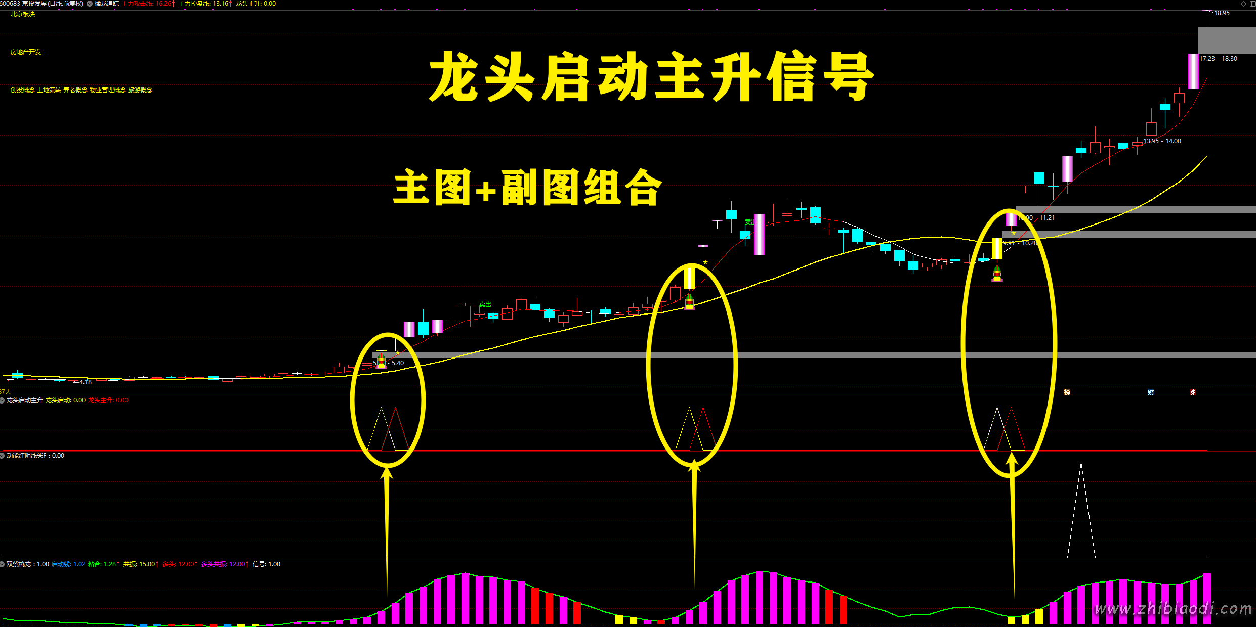 2026双紫擒龙指标 2026双紫擒龙指标