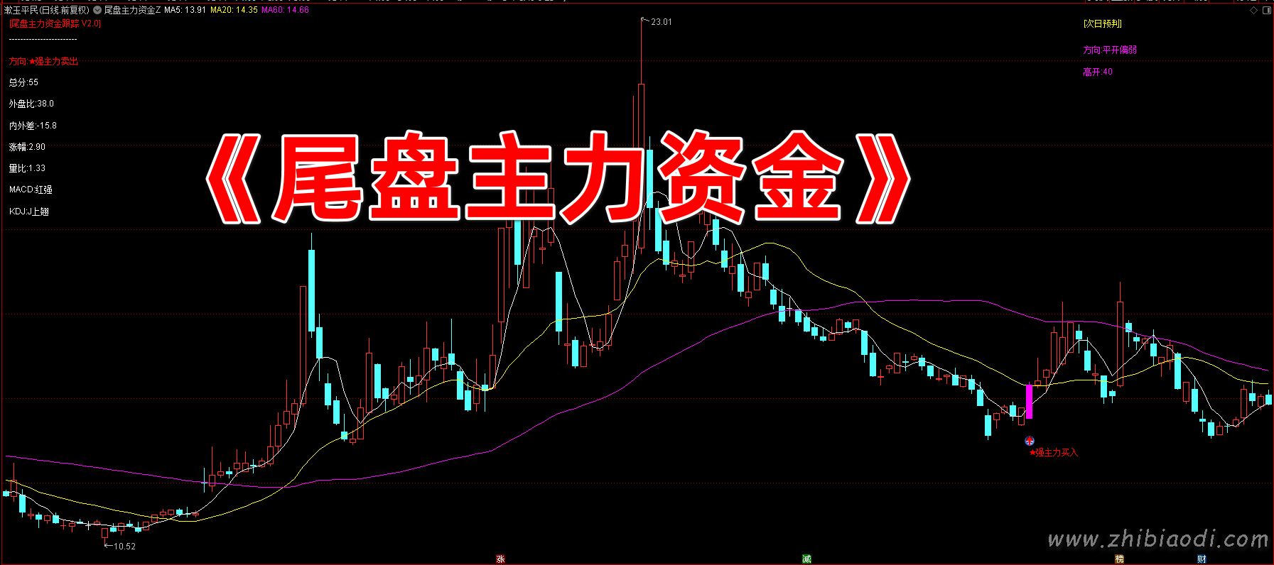 尾盘主力资金跟踪指标 尾盘主力资金跟踪指标