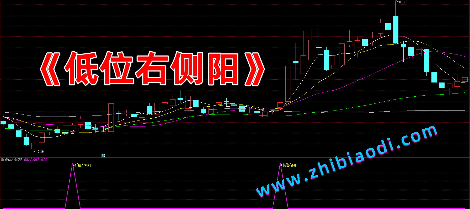 低位右侧阳指标 低位右侧阳指标