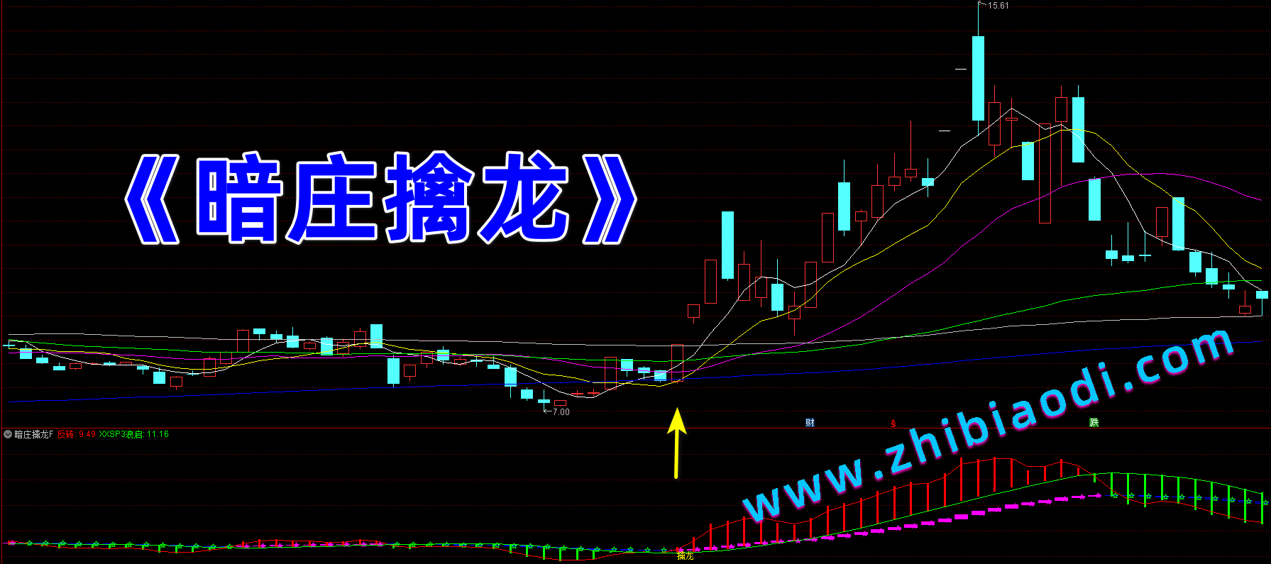 暗庄擒龙指标 暗庄擒龙指标