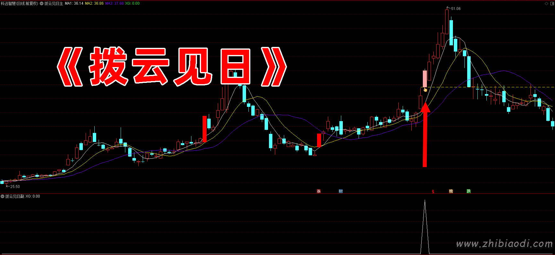 拨云见日模型指标 拨云见日模型指标
